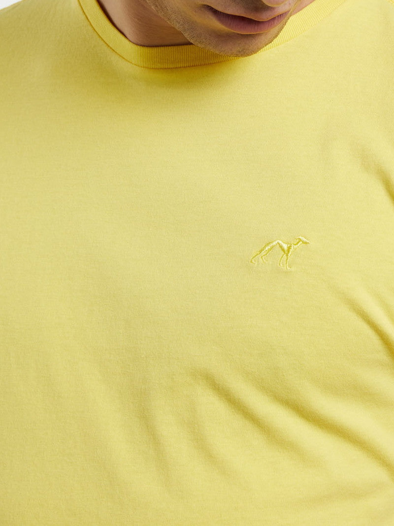 Light Yellow