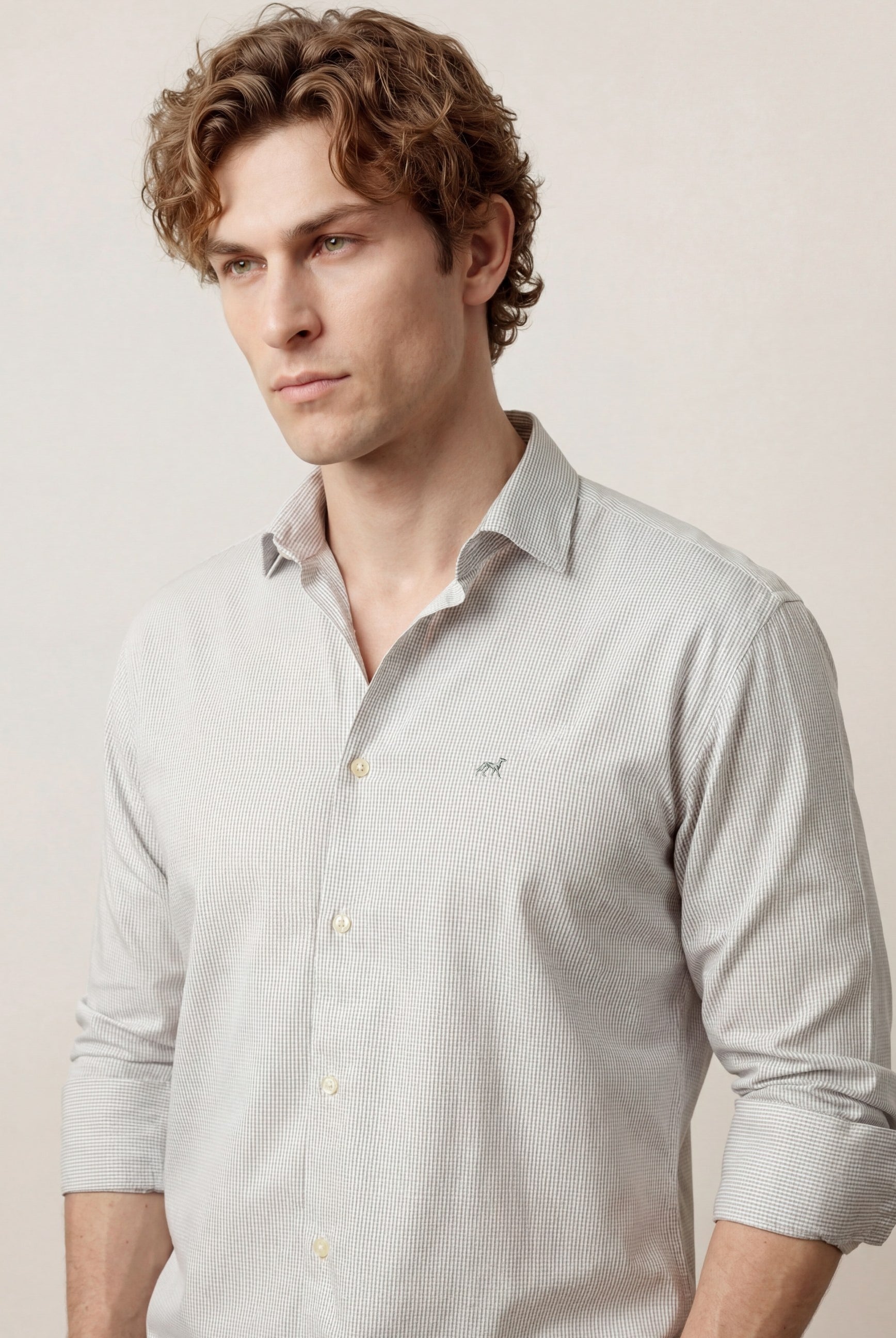 Light Grey (AI)