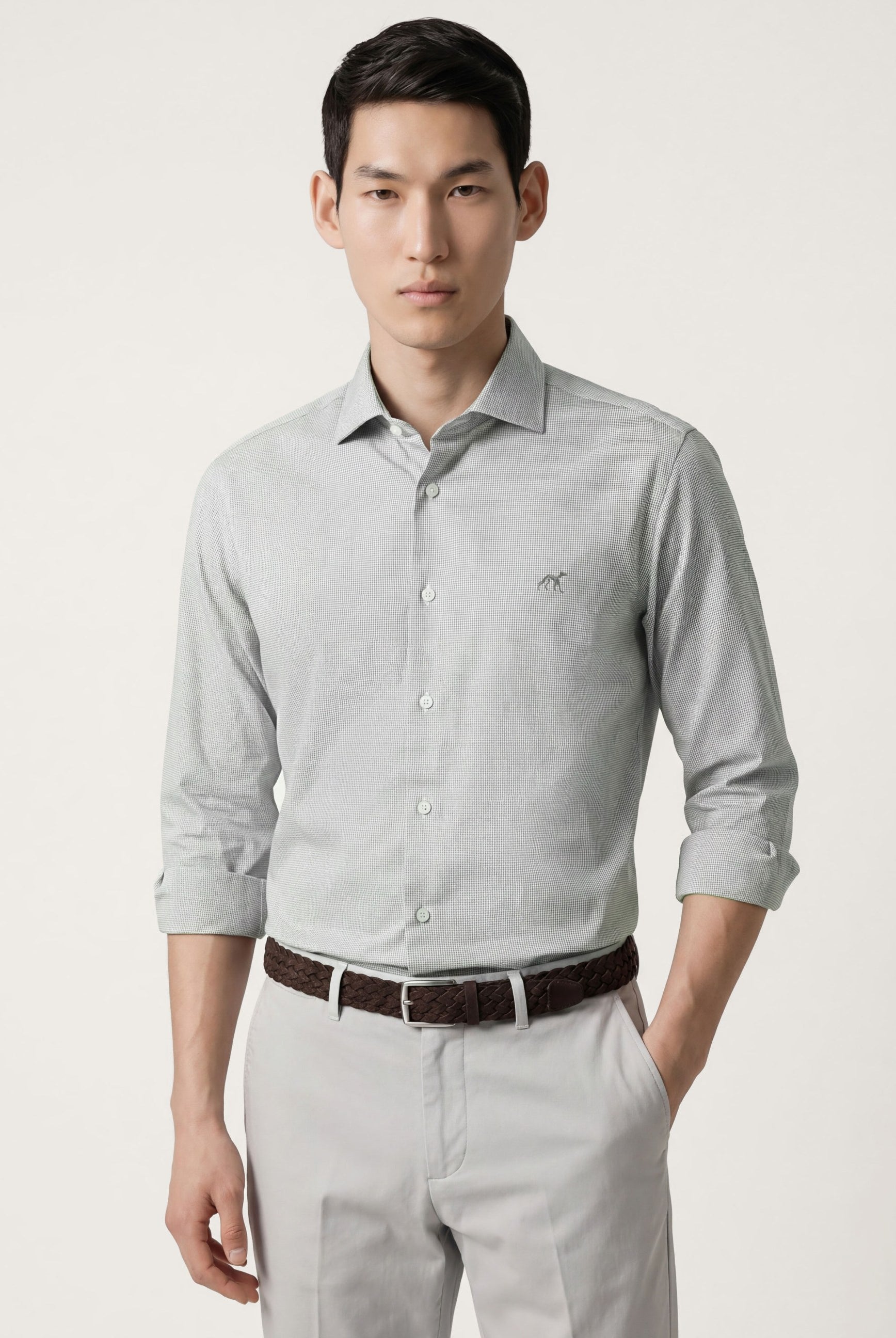 Light Grey (AI)