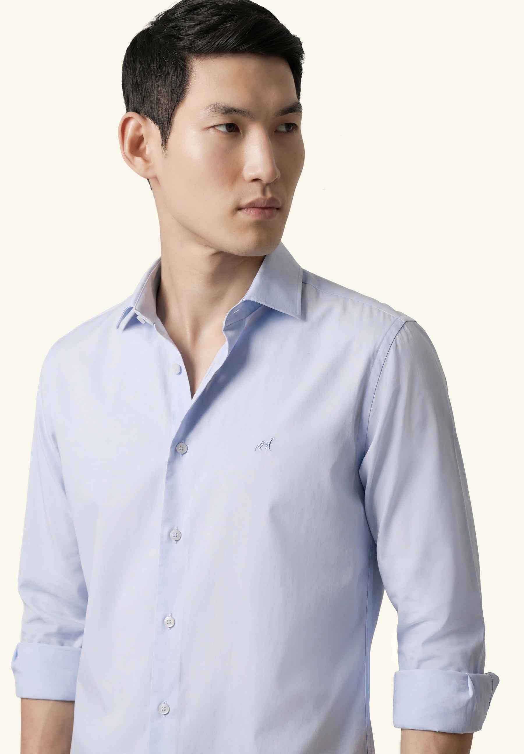 Light Blue (AI)
