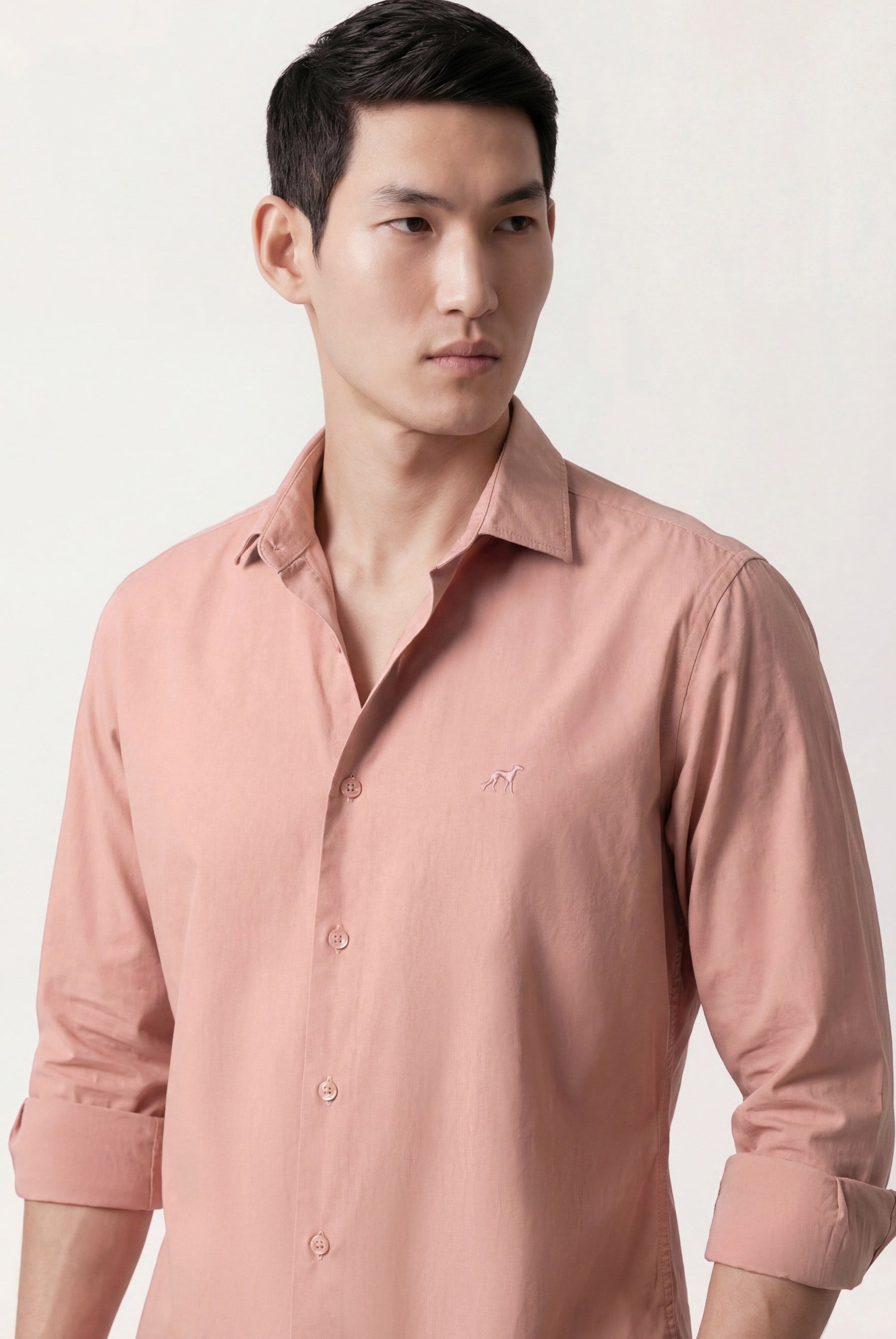 Pale Pink (AI)