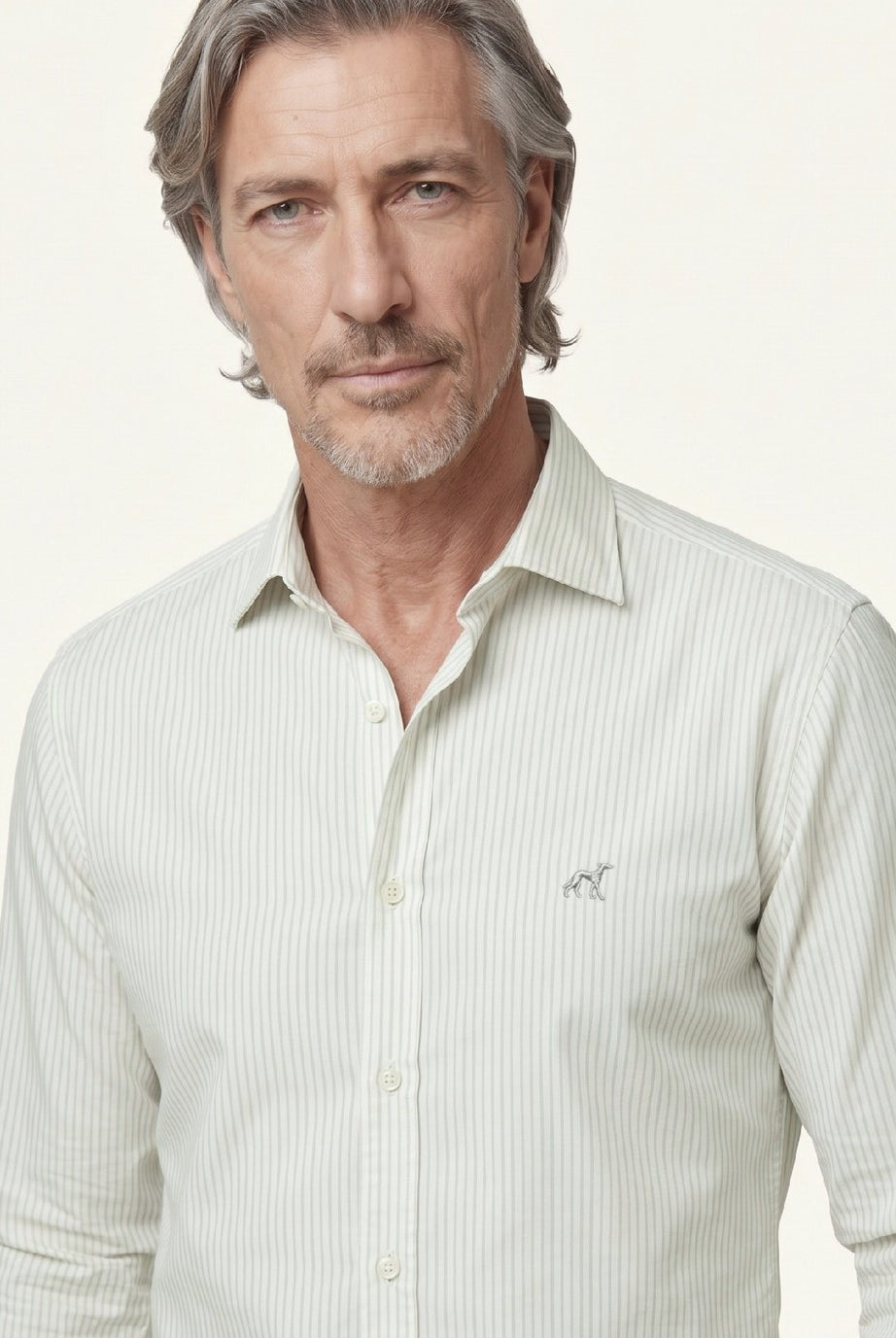 Light Grey (AI)