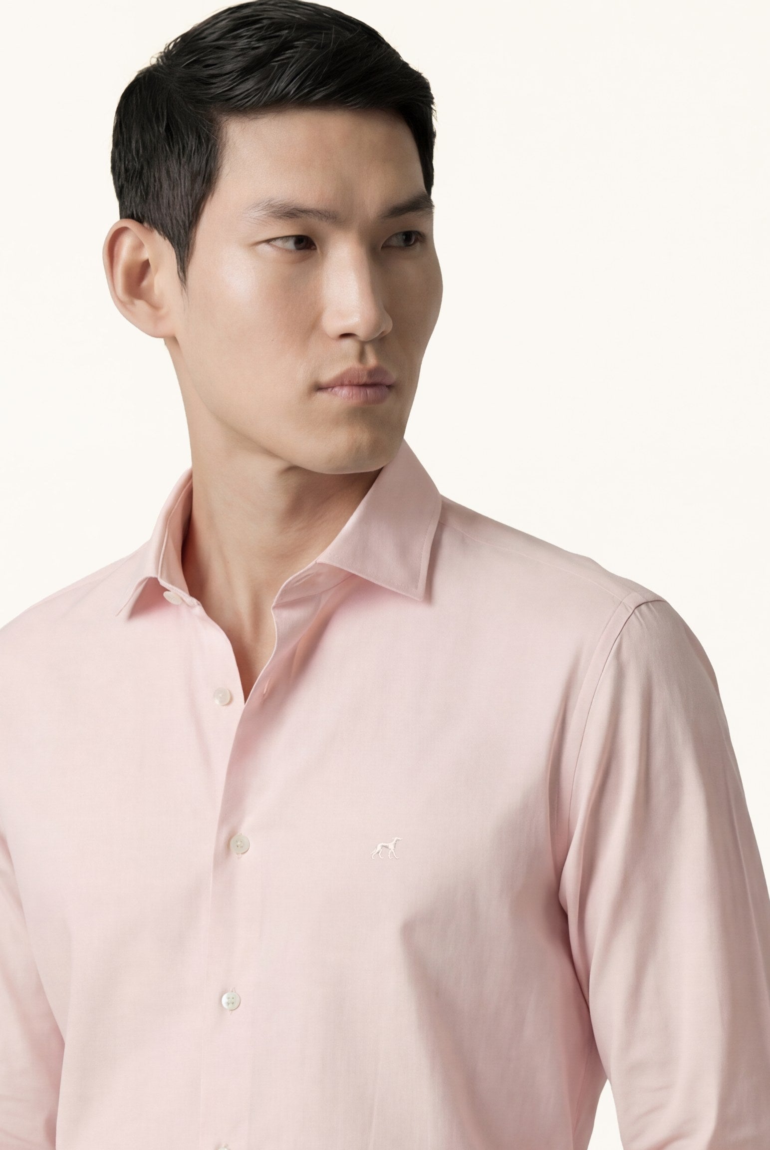 Light Pink (AI)