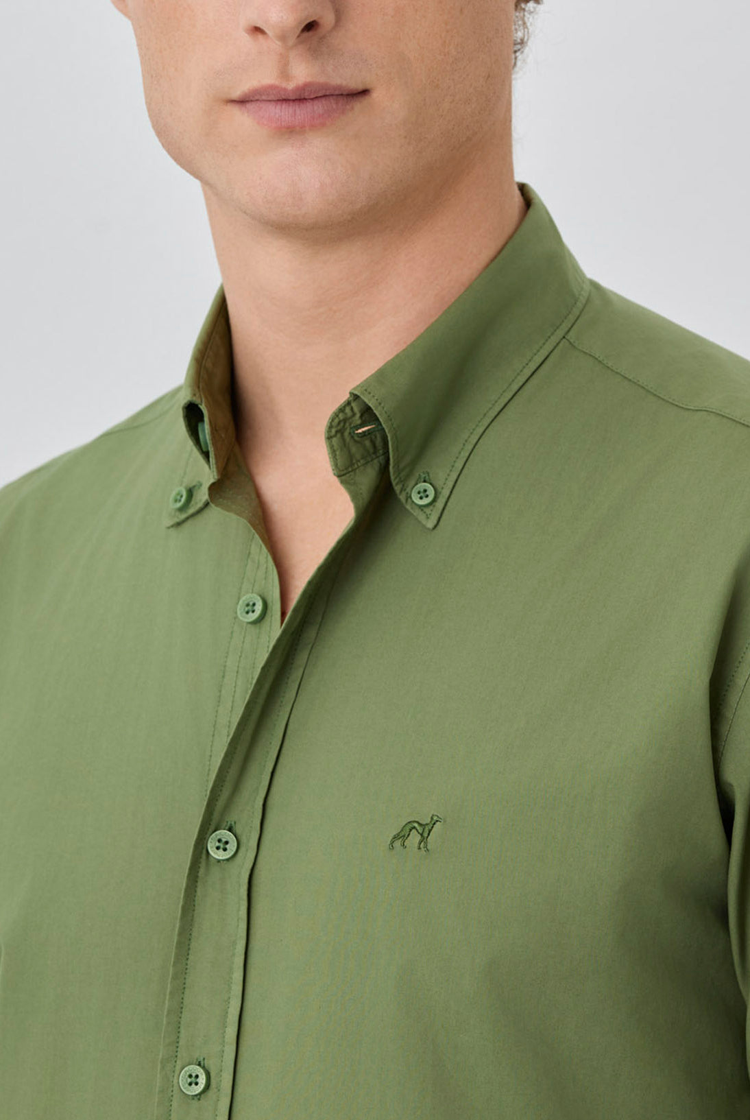 Olive Green