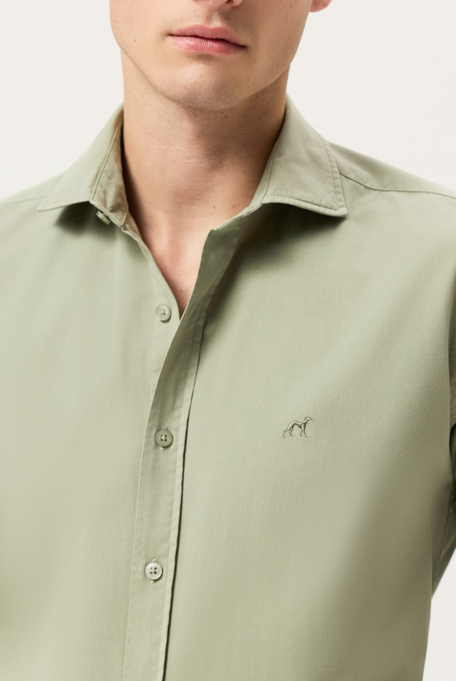 Light Green