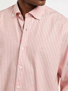 Light Orange