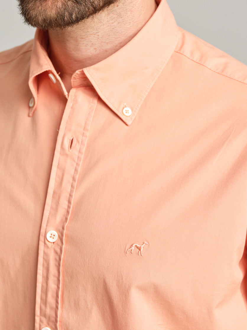 Light Orange