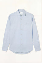 Light Blue (AI)