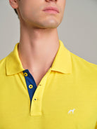 Light Yellow