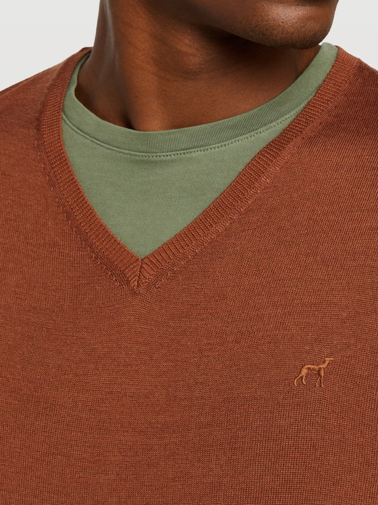 Camel